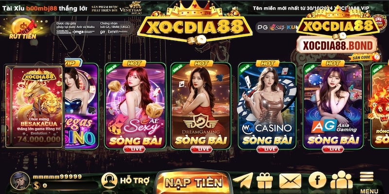 Về Chúng Tôi 1 Giới thiệu tổng quan về chúng tôi - Xocdia88